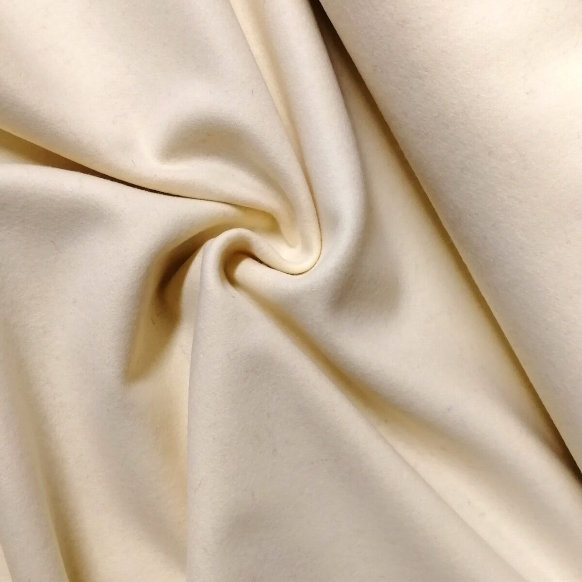 Kappull - Midvintern fg.6039.jpg