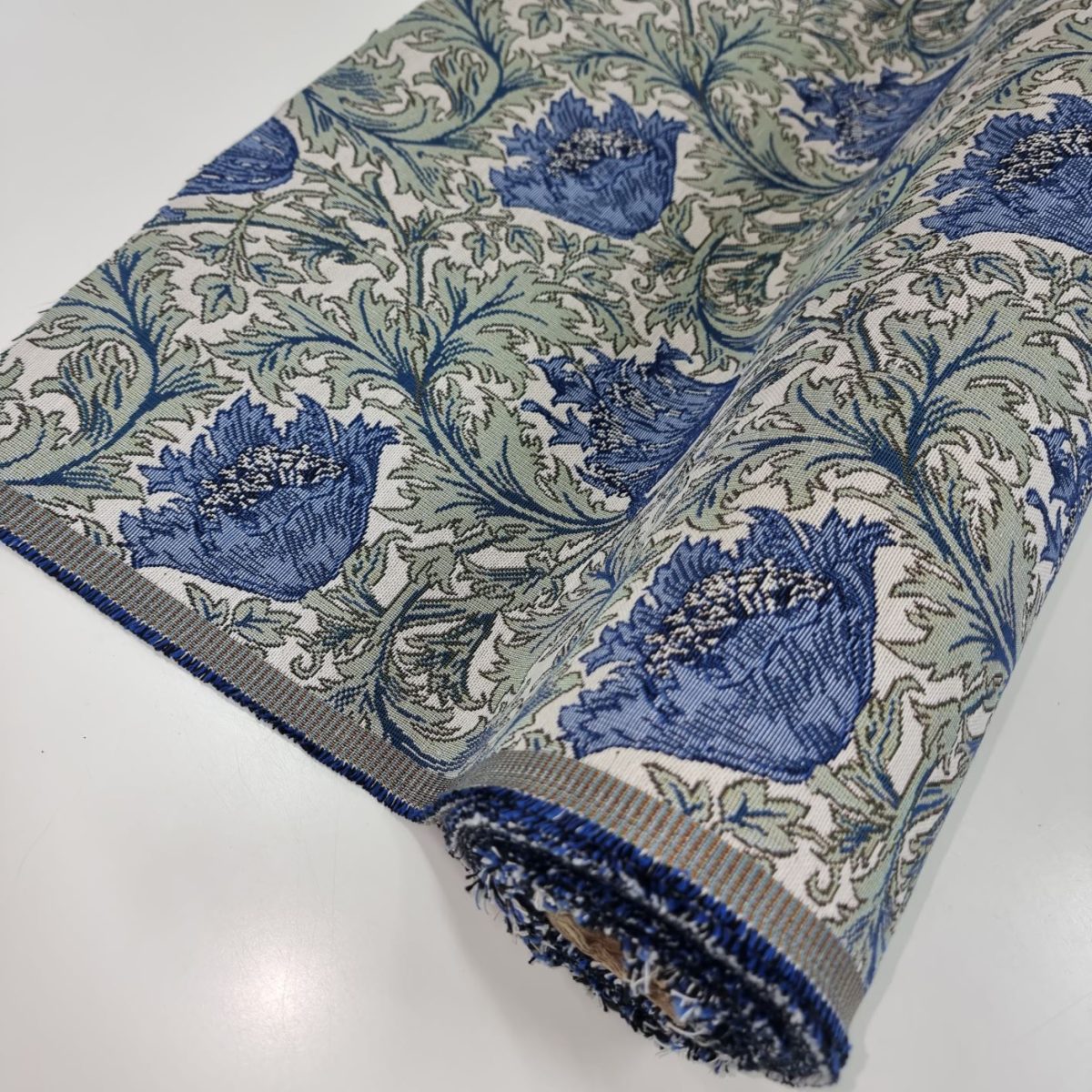 Blue anemone 2 bild 3